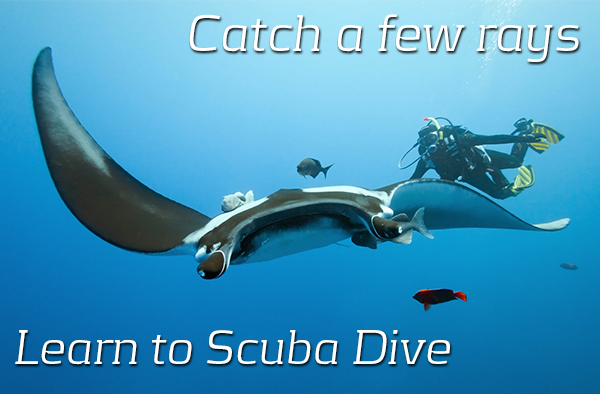 with Hawaiian Scuba Shack and PADI